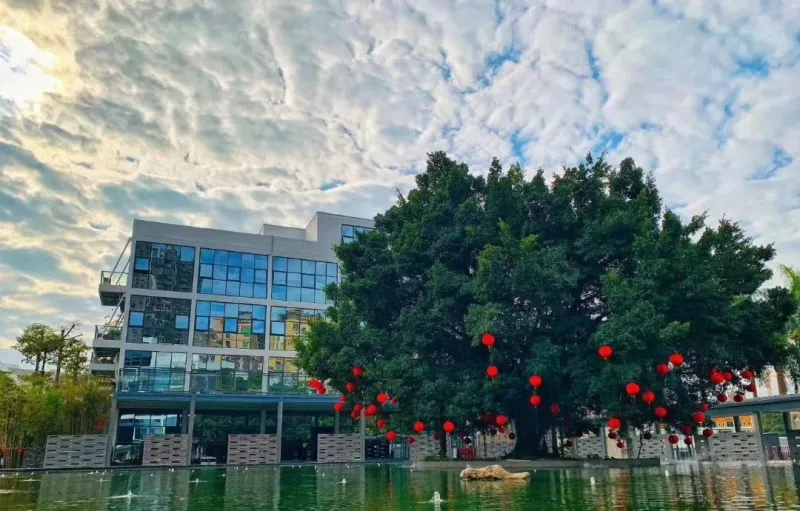 1980科技文化产业园实景