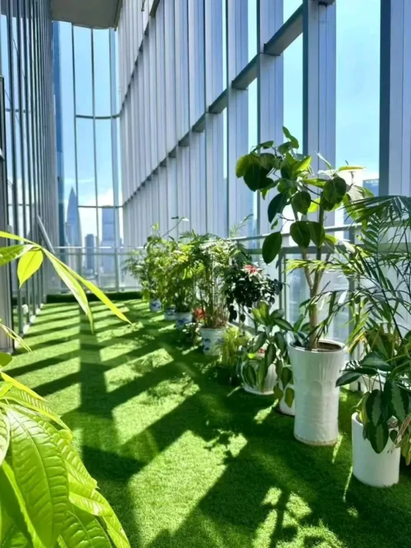 彩讯科技大厦实景