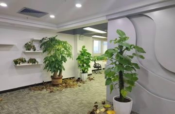 深圳福田中心区办公空间｜联合广场268.28㎡精装户型