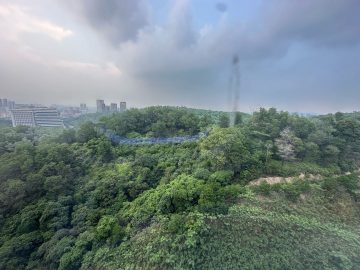 鸿荣源·鸿湖科技园｜23000㎡简装办公室出租 · 观湖