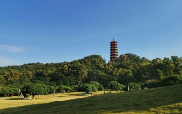 悦见公园里实景图