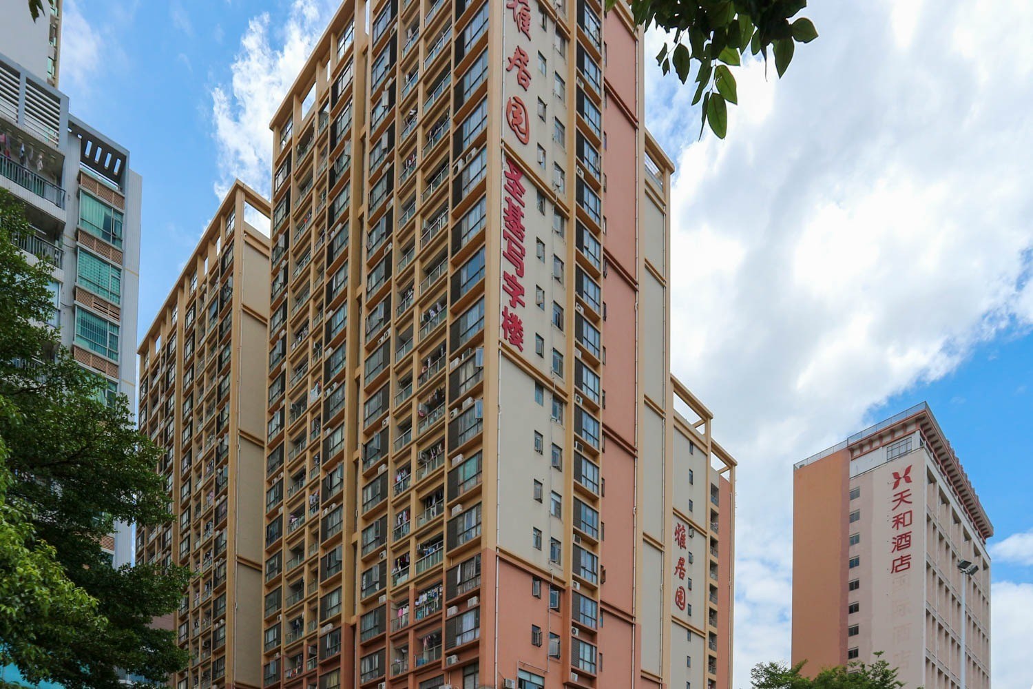 圣基时代