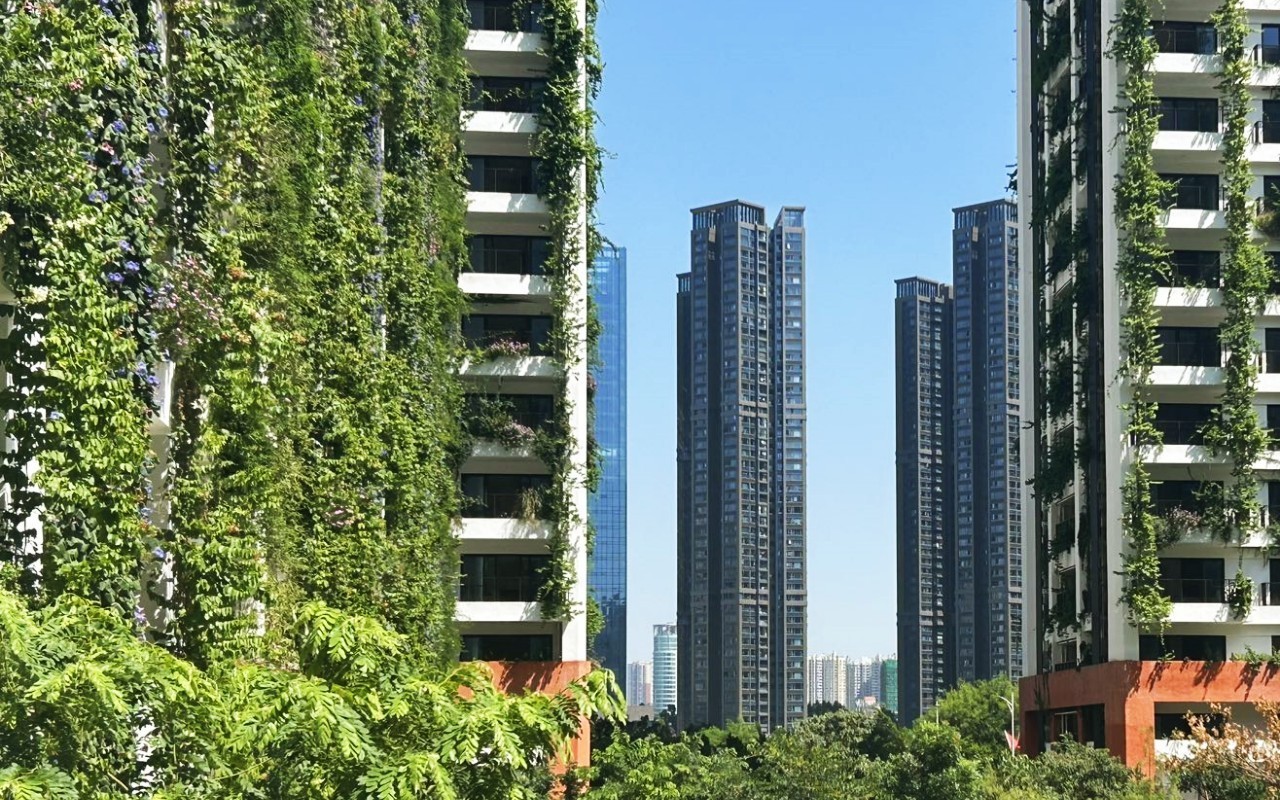 泰华梧桐聚落花园(梧桐村)实景图