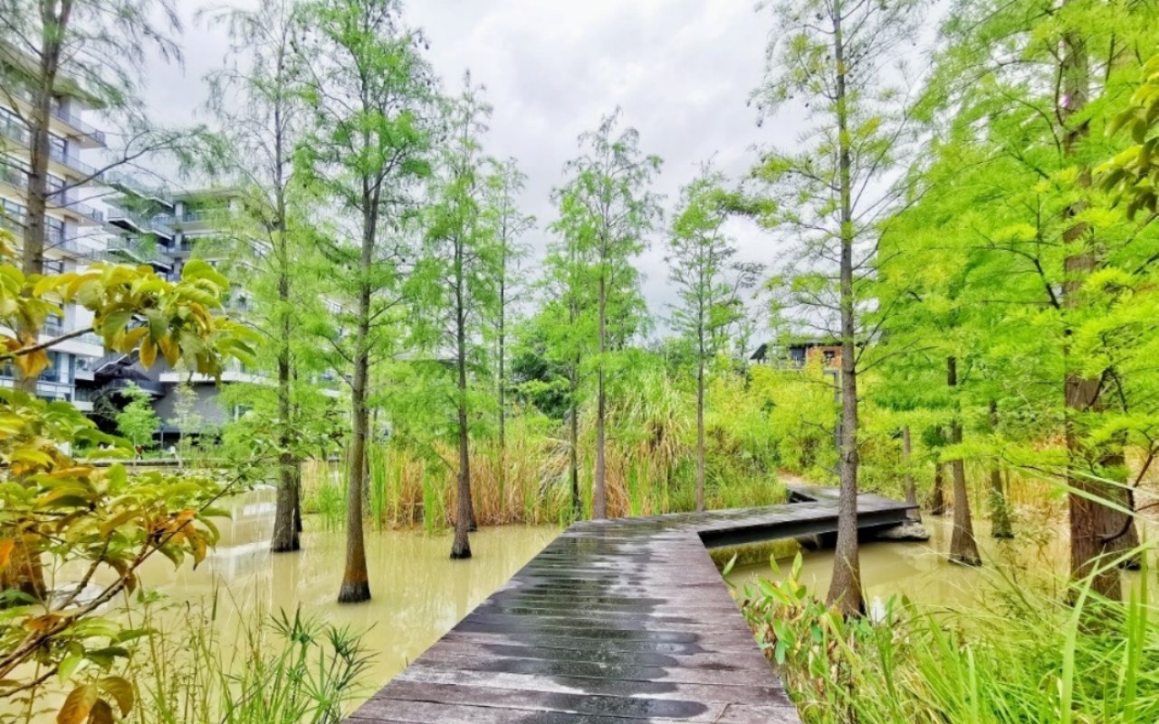 泰华梧桐聚落花园(梧桐村)实景图
