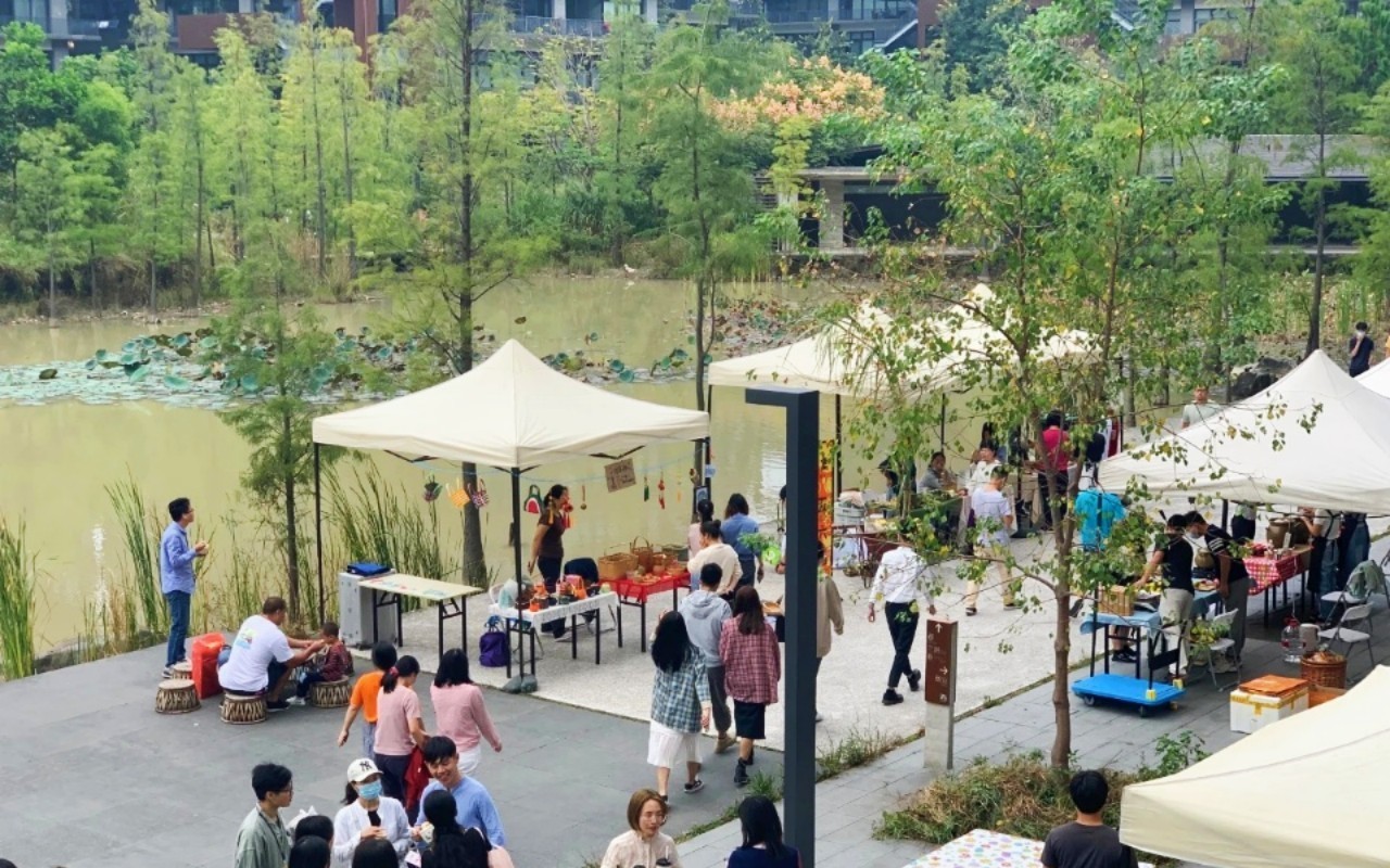 泰华梧桐聚落花园(梧桐村)实景图