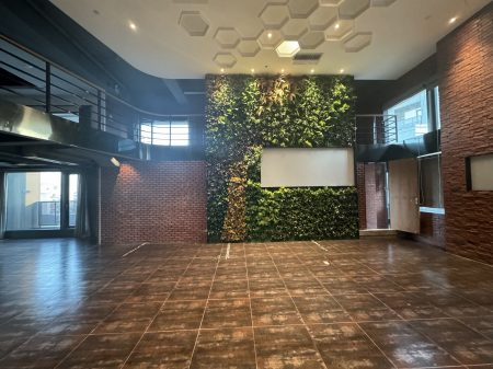 9元/！1086㎡中空复式大平层，东南朝向+铁仔山公园景观，医疗美容电商首选