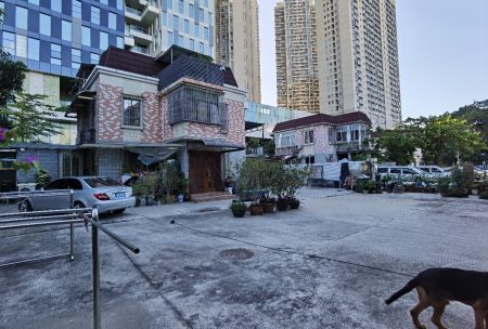 蛇口稀缺独栋出租！300㎡室内+500㎡院子，月租仅5万