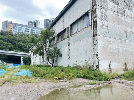 深圳赤湾地铁口厂房出租｜5000㎡｜15米层高